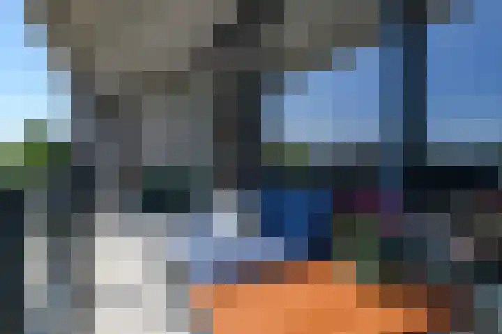 de Lingert 6499 A Wijchen thumbnail 15
