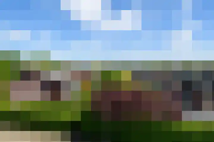 de Lingert 6499 A Wijchen thumbnail 40