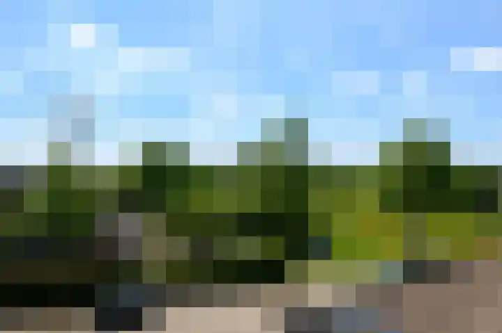 de Lingert 6499 A Wijchen thumbnail 43