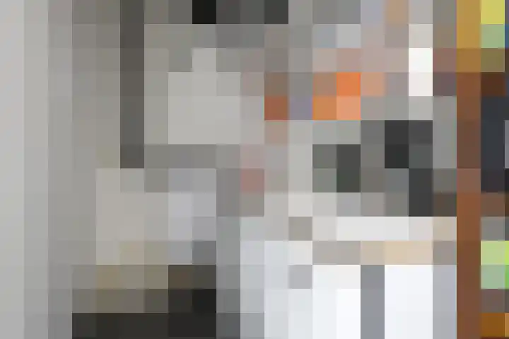 de Lingert 6499 A Wijchen thumbnail 45