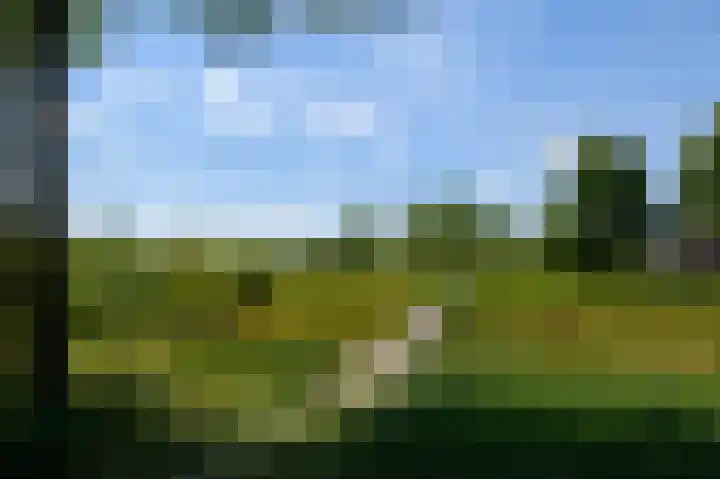 de Lingert 6499 A Wijchen thumbnail 46