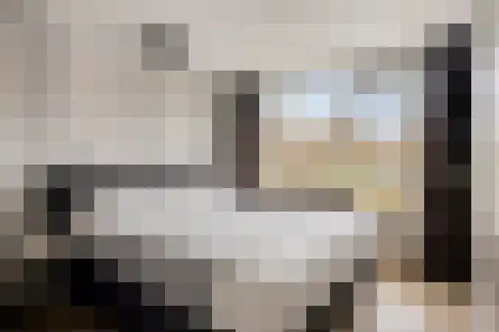 De Linnenbleker 14 Boxtel thumbnail 4