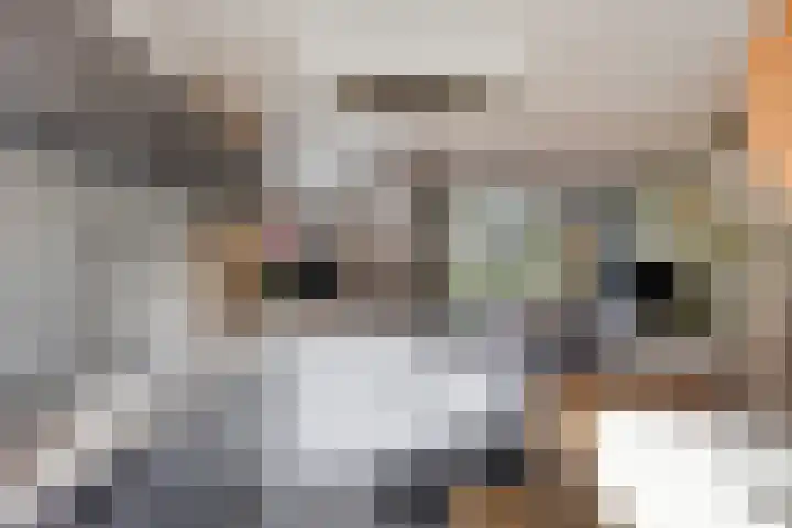 De Linnenbleker 3 Boxtel thumbnail 10
