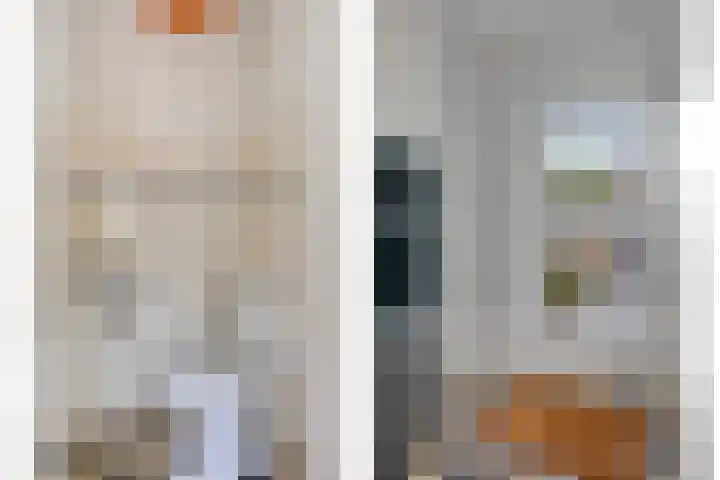 De Linnenbleker 3 Boxtel thumbnail 16