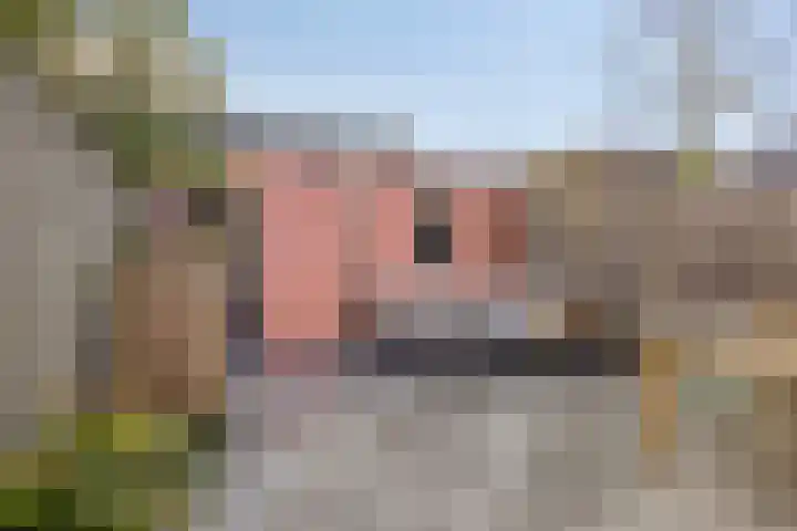De Linnenbleker 3 Boxtel thumbnail 29