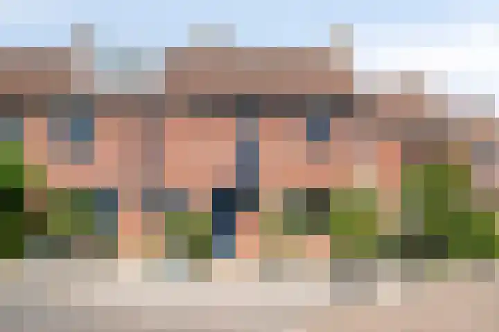 De Lint 34 Zevenbergen