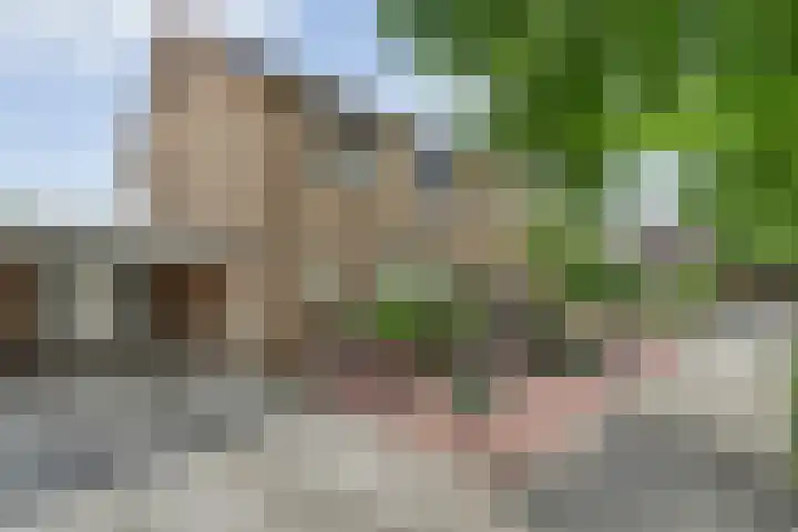 De Lisdodde 2 en Dedemsvaart