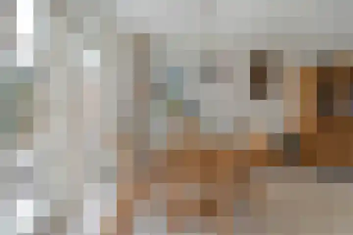 De Lisdodde 2 Dedemsvaart thumbnail 14