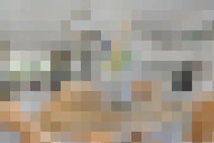 De Lisdodde 2 Dedemsvaart thumbnail 15