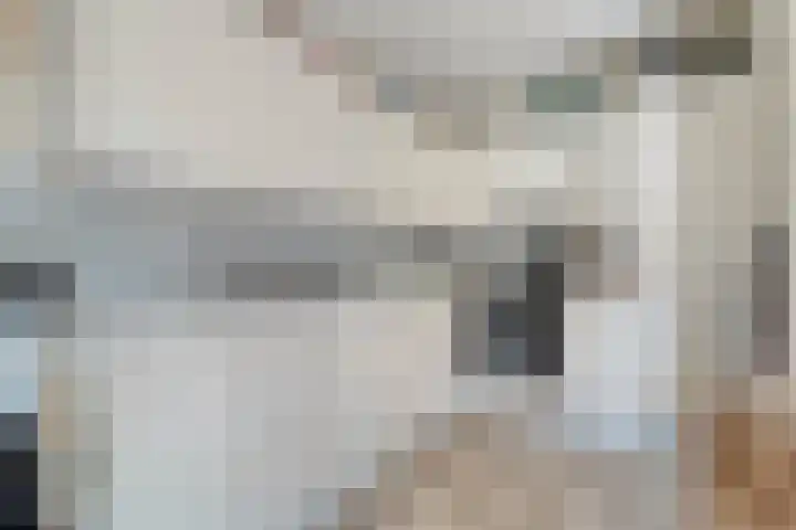 De Lisdodde 2 Dedemsvaart thumbnail 16