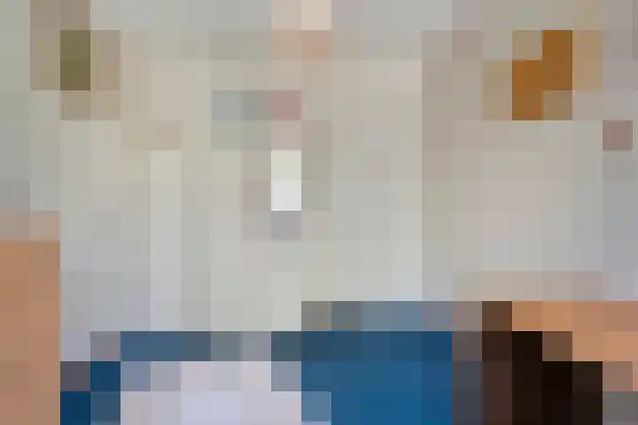 De Lisdodde 2 Dedemsvaart thumbnail 30