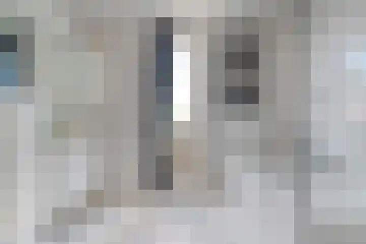 De Lisdodde 2 Dedemsvaart thumbnail 31
