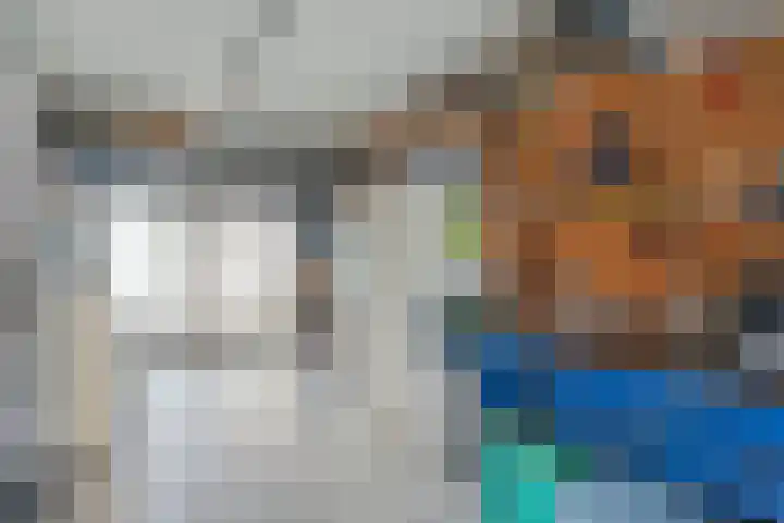 De Lisdodde 2 Dedemsvaart thumbnail 36
