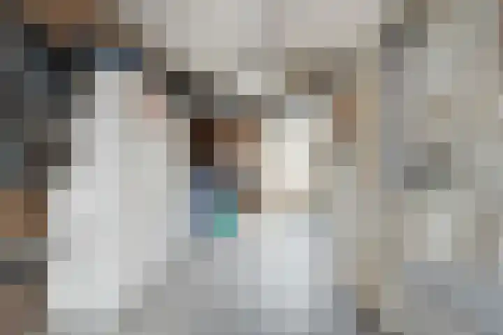 De Lisdodde 2 Dedemsvaart thumbnail 37