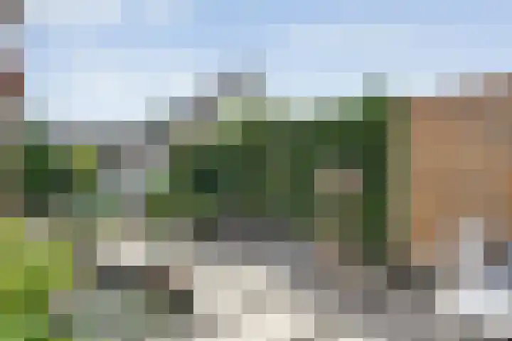 De Lisdodde 2 Dedemsvaart thumbnail 38