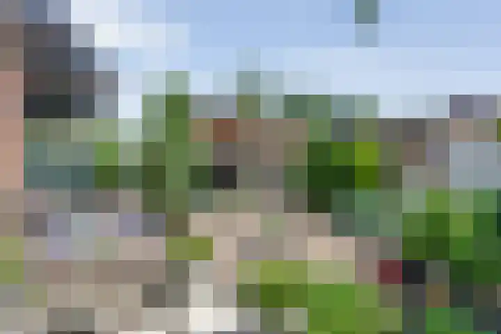 De Lisdodde 2 Dedemsvaart thumbnail 40