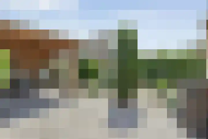 De Lisdodde 2 Dedemsvaart thumbnail 46