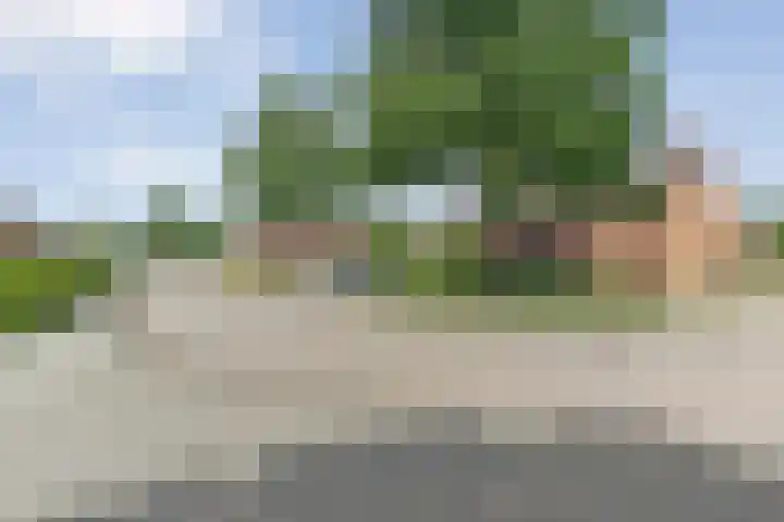 De Lisdodde 2 Dedemsvaart thumbnail 48