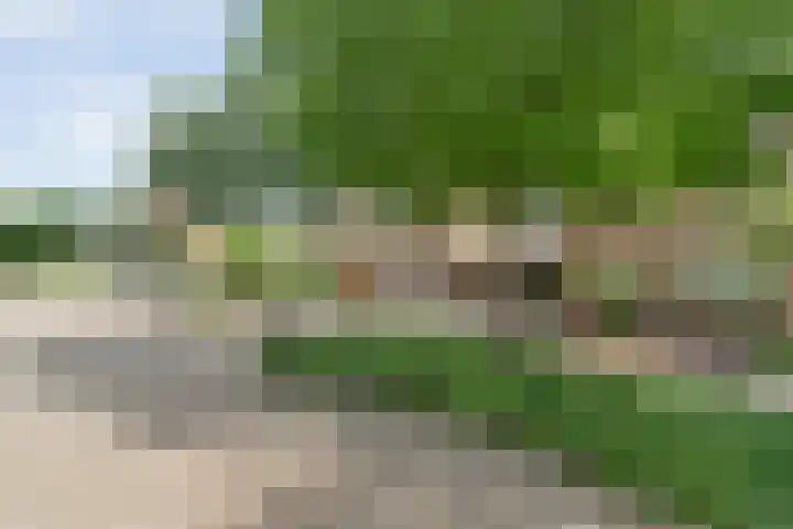 De Lisdodde 2 Dedemsvaart thumbnail 49