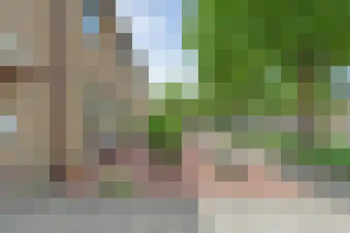 De Lisdodde 2 Dedemsvaart thumbnail 50