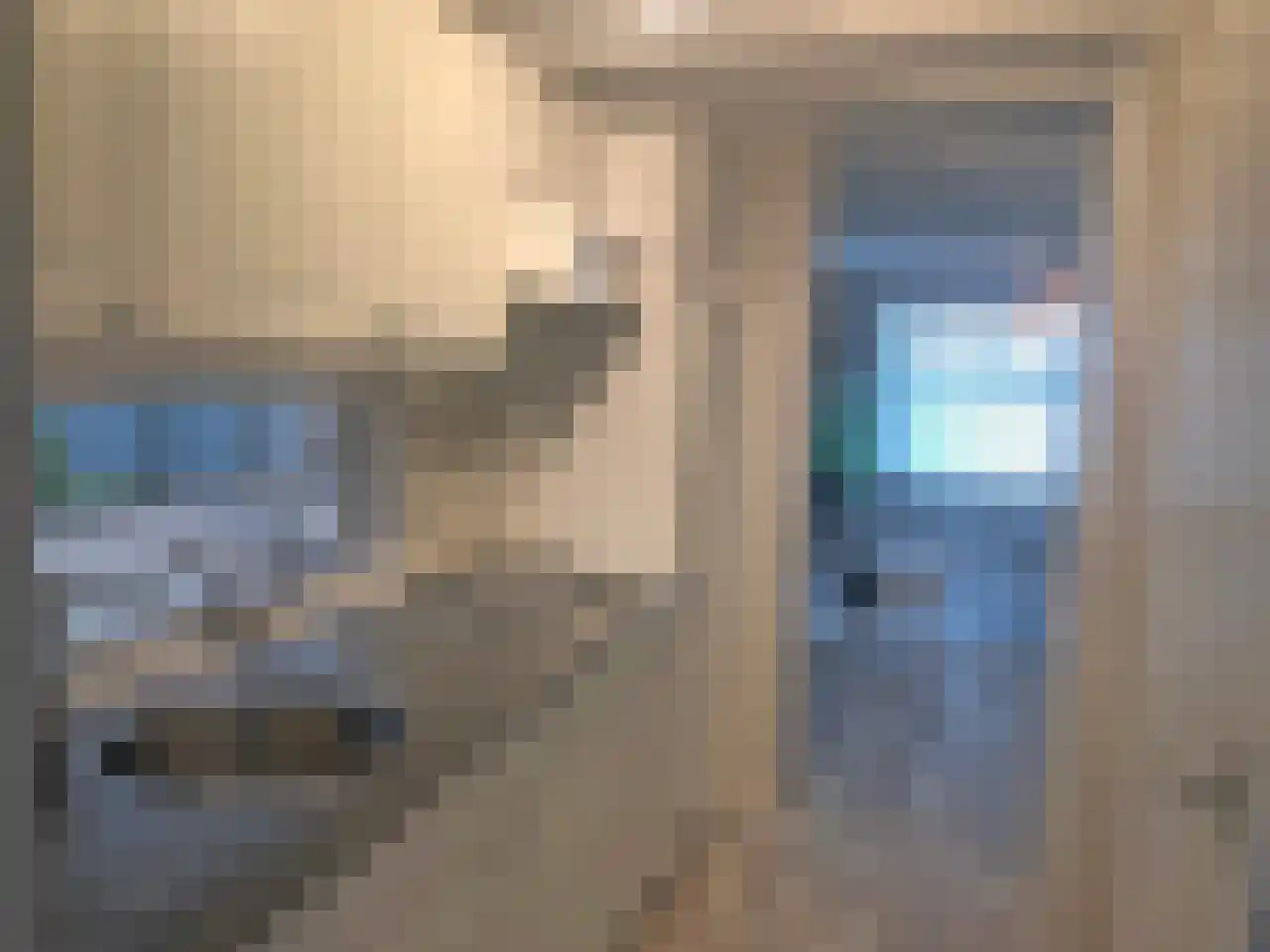 De Lithse Ham 1 Lith thumbnail 12