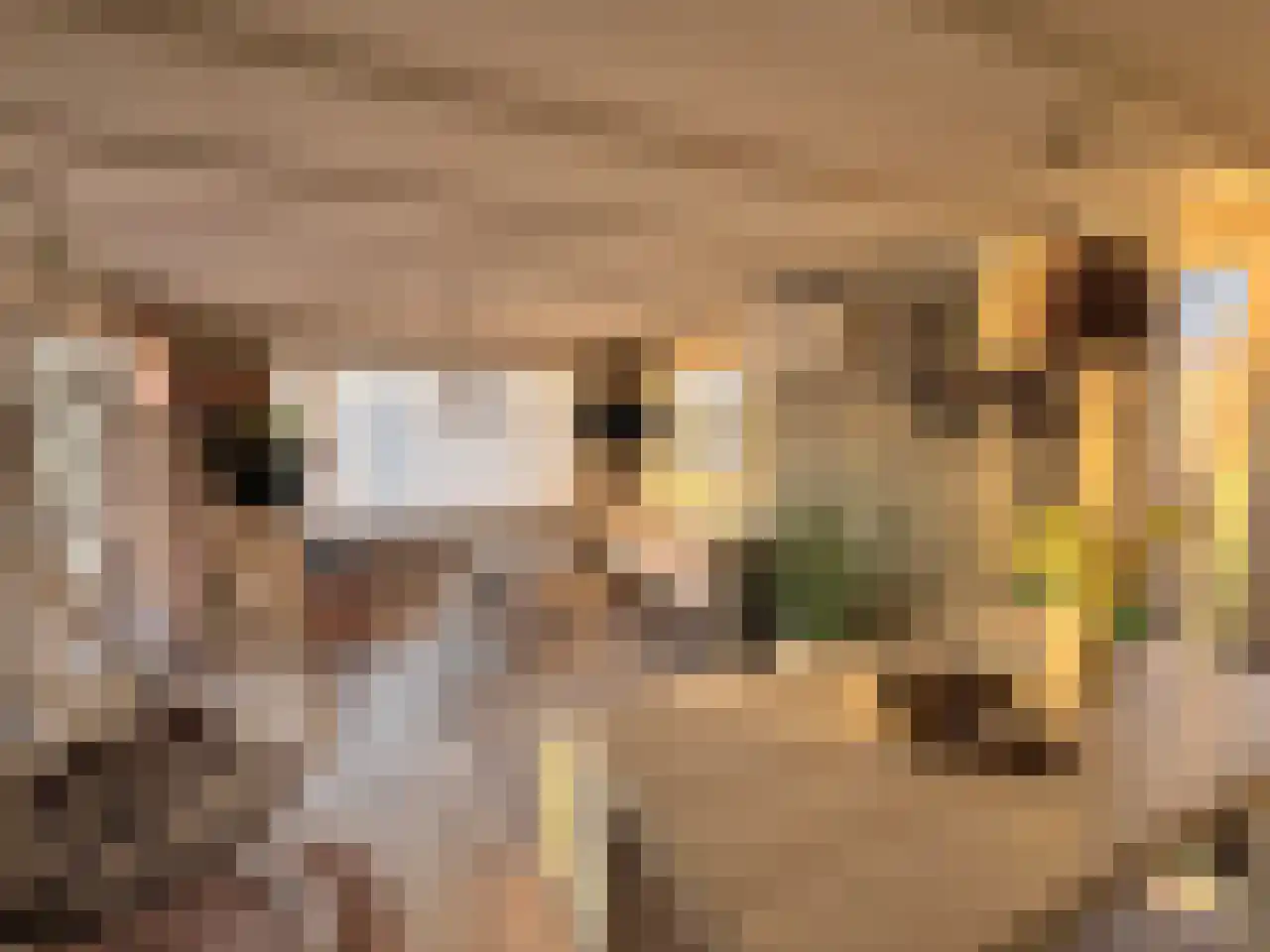 De Lithse Ham 1 Lith thumbnail 7