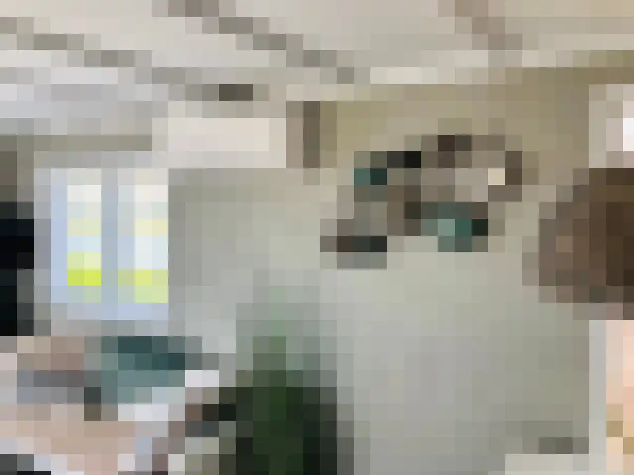 De Lithse Ham 1 Lith thumbnail 9