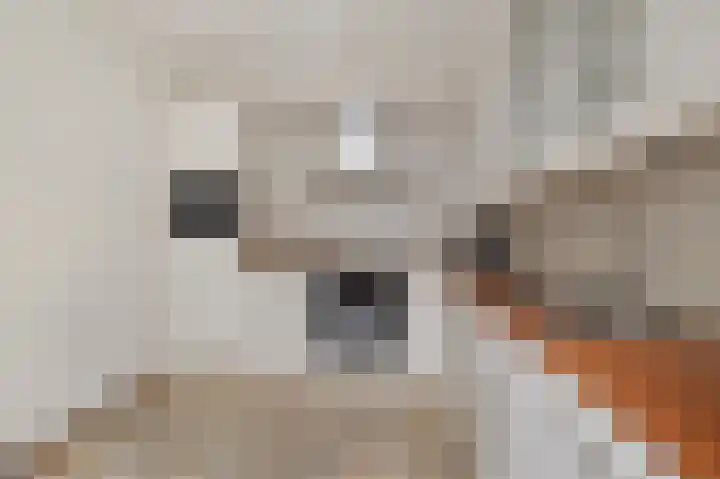 De Lits 3 Leeuwarden thumbnail 21