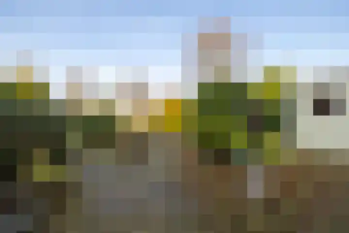 De Lits 3 Leeuwarden thumbnail 38