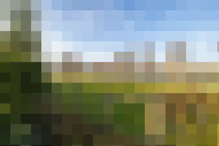 De Lits 3 Leeuwarden thumbnail 42