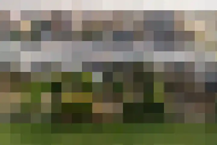 De Lits 3 Leeuwarden thumbnail 43