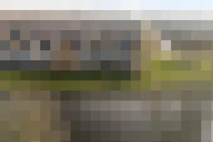 De Lits 3 Leeuwarden thumbnail 52