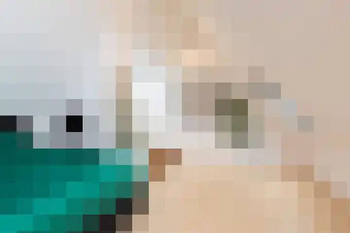 De Ljip 23 Bolsward thumbnail 21