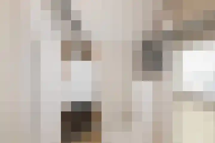 De Ljip 23 Bolsward thumbnail 33