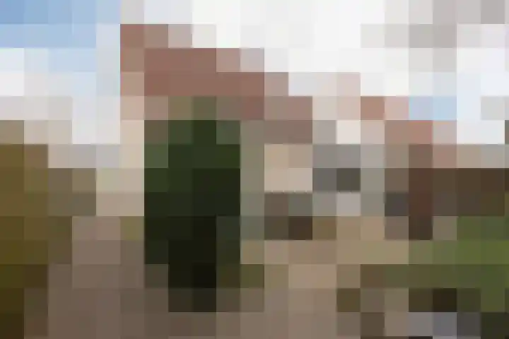 De Ljip 23 Bolsward thumbnail 41