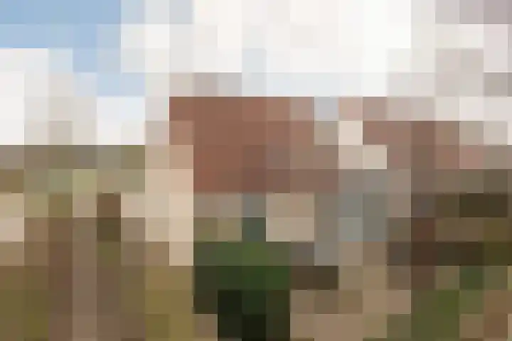 De Ljip 23 Bolsward thumbnail 47