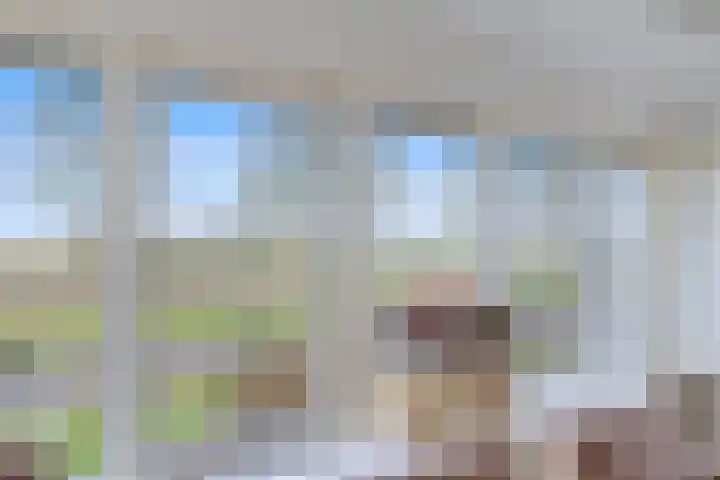 De Ljip 9 Bolsward thumbnail 10