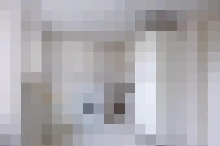 De Ljip 9 Bolsward thumbnail 18