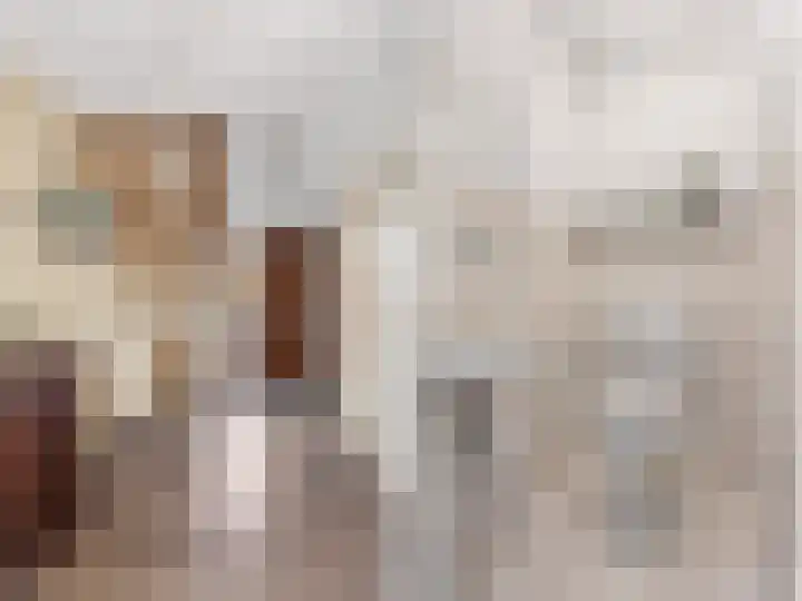 De Ljip 9 Bolsward thumbnail 23