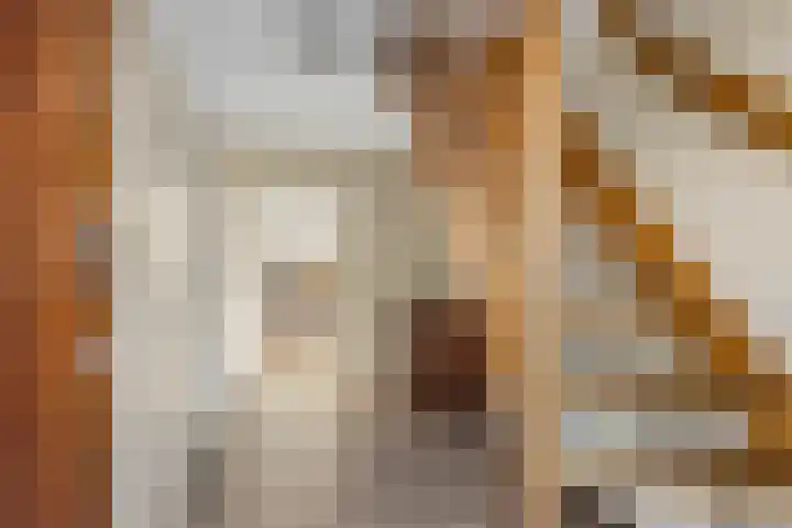 De Ljip 9 Bolsward thumbnail 24