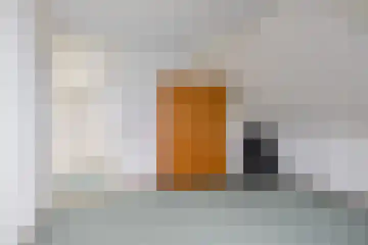 De Ljip 9 Bolsward thumbnail 28
