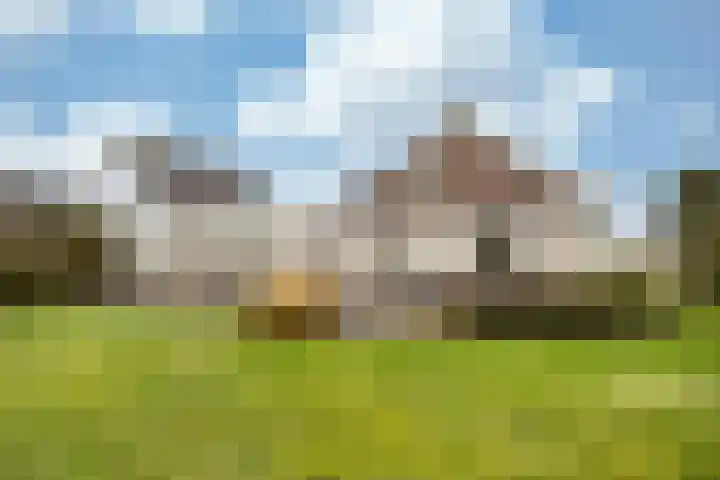 De Ljip 9 Bolsward thumbnail 35