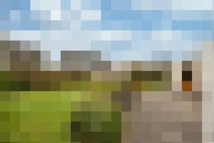 De Ljip 9 Bolsward thumbnail 36