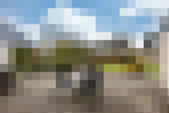 De Ljip 9 Bolsward thumbnail 38