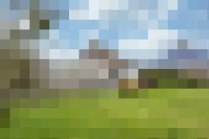 De Ljip 9 Bolsward thumbnail 39