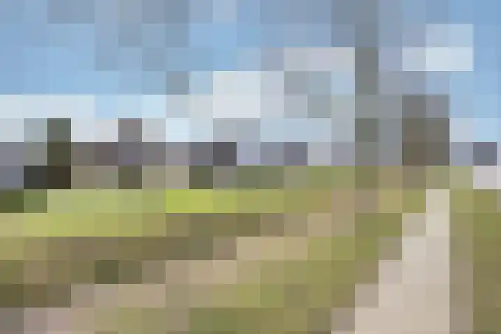 De Ljip 9 Bolsward thumbnail 41