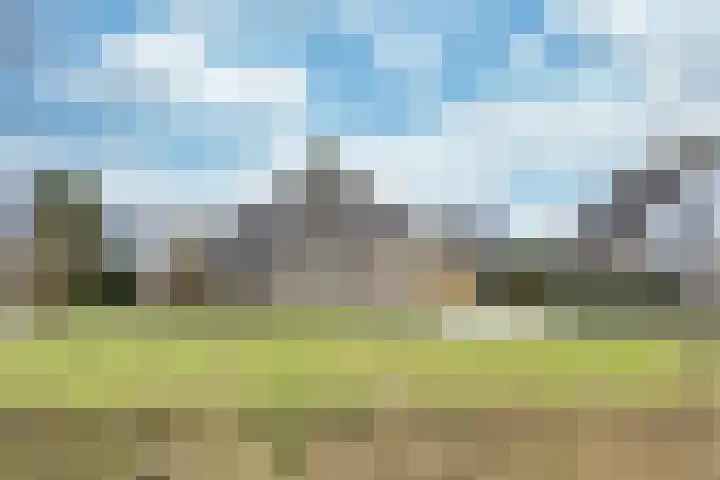 De Ljip 9 Bolsward thumbnail 42