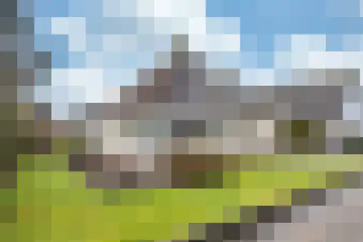 De Ljip 9 Bolsward thumbnail 5