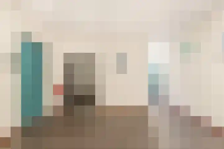 De Loet 10 Castricum thumbnail 7