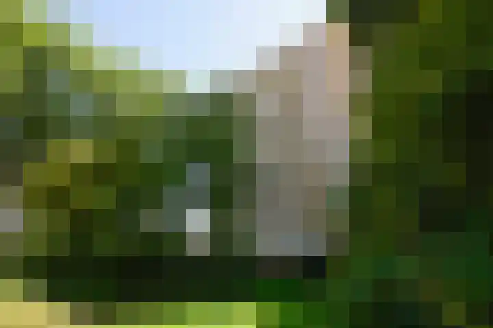 De Loet 74 Castricum thumbnail 10